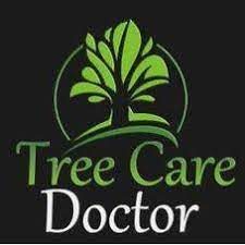 Tree Service Contractors near Langley, Disney, Tulsa, Vinita Oklahoma, Mayes County Landscaping and Firewood – Consulting Arborist – Tree Pruning, Tree Trimming – Tree Removal – Tree Planting – Stump Removal – Stump Grinding – Tree Care Surgeon Doctor – Commercial and Residential Tree Care Services in Broken Arrow, Stillwater